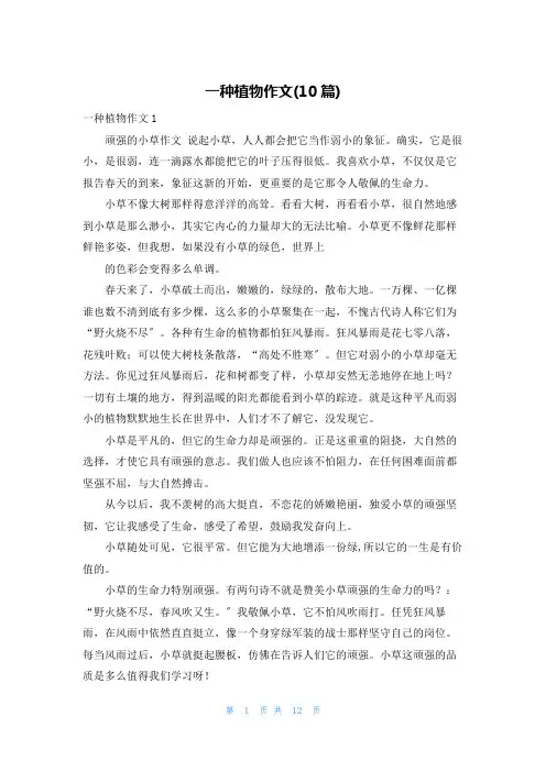 一种植物作文(10篇)