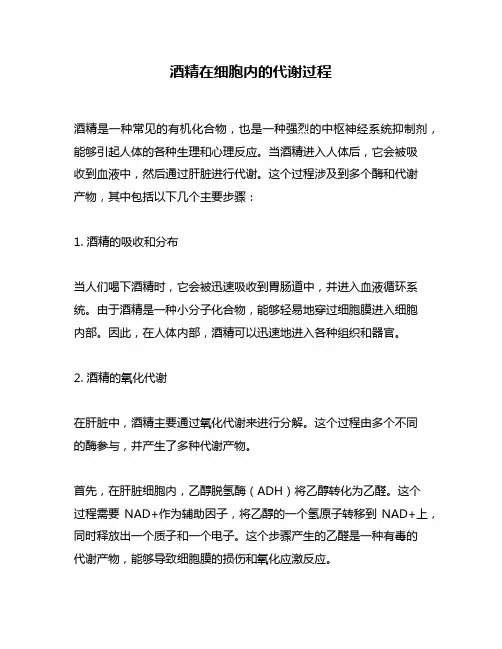 酒精在细胞内的代谢过程