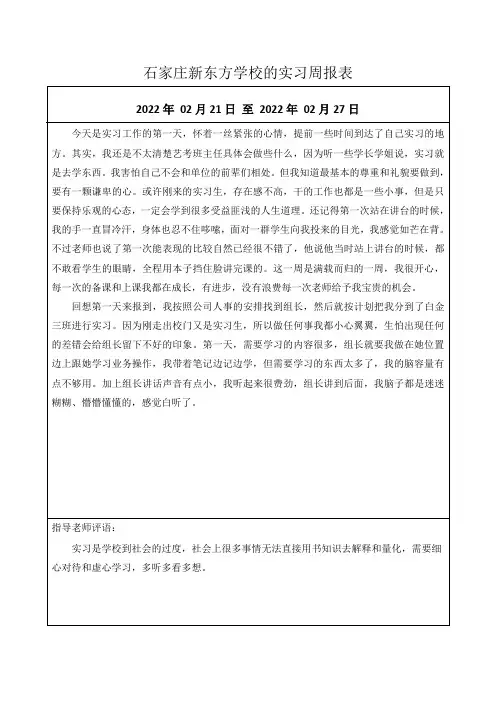 石家庄新东方学校的实习周报表