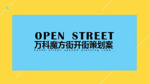 地产项目魔方街开街活动策划方案