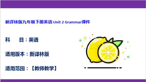 新译林版九年级下册英语 Unit 2 Grammar课件