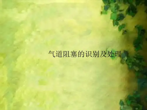 气道阻塞课件