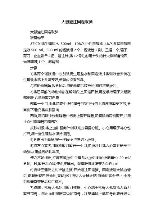 大鼠灌注固定取脑