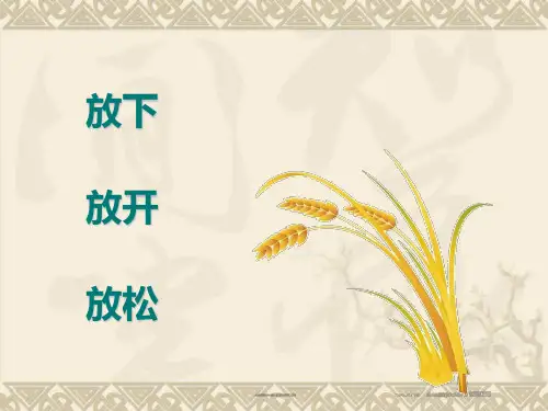 (潘鹏)情境领导力