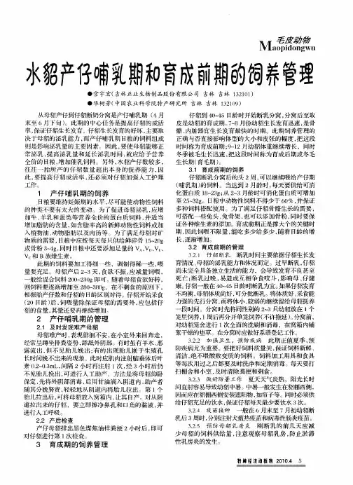 水貂产仔哺乳期和育成前期的饲养管理