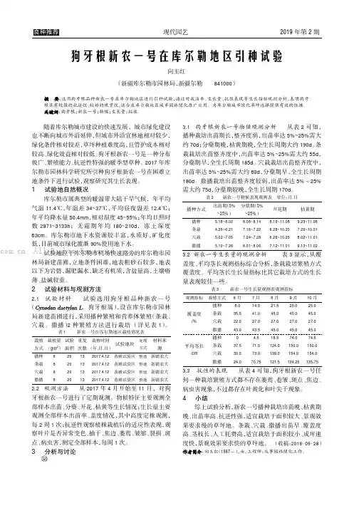 狗牙根新农一号在库尔勒地区引种试验