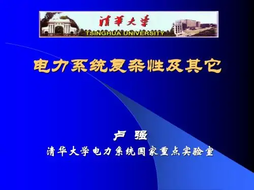 电力系统复杂性及其它