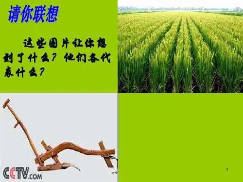 第一课农业的主要耕作方式和土地制度ppt课件