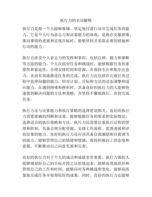 执行力的名词解释