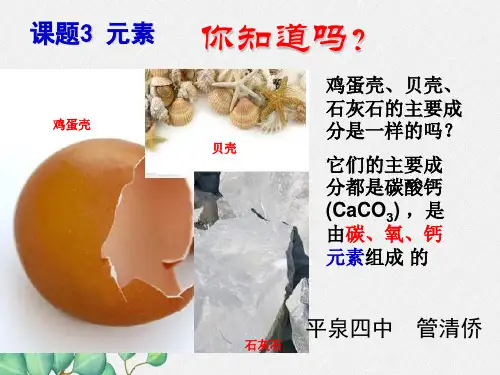 《元素》PPT课件(公开课)2022年人教版 (14)