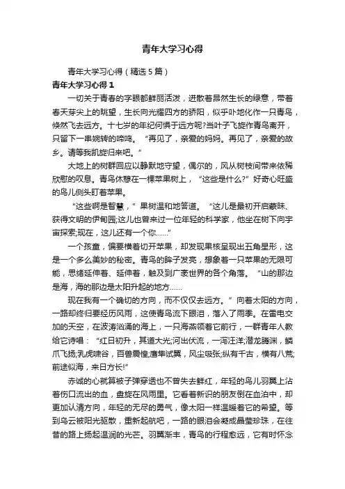 青年大学习心得（精选5篇）