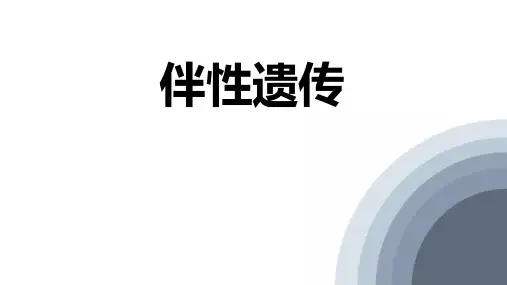 人教版高中生物必修二 伴性遗传 基因和染色体的关系 课件