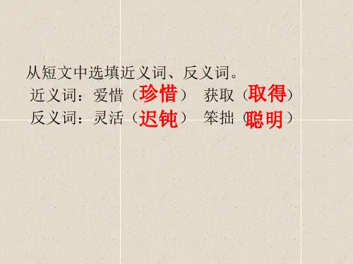 周末乐园2