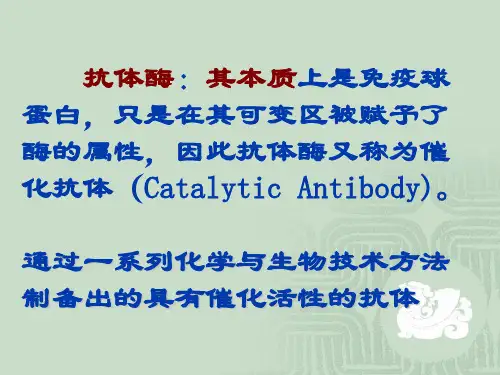 第七章 抗体酶