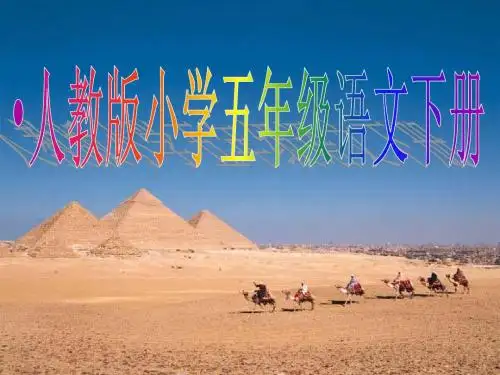 人教版语文第二十八课《彩色的非洲》PPT课件