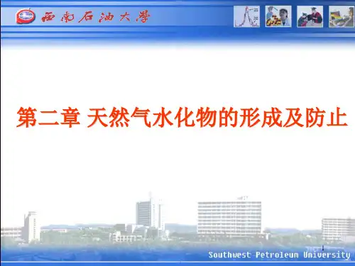 天然气水合物的形成与防治讲课稿