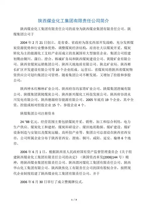 陕煤集团简介 文档