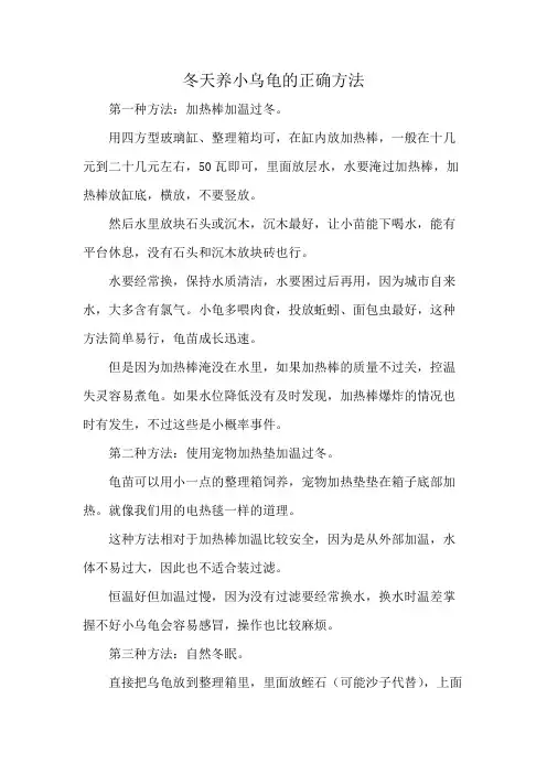 冬天养小乌龟的正确方法