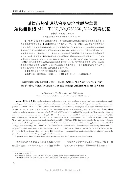 试管苗热处理结合茎尖培养脱除苹果矮化自根砧M9－T337、B9、GM256、M26病毒试验
