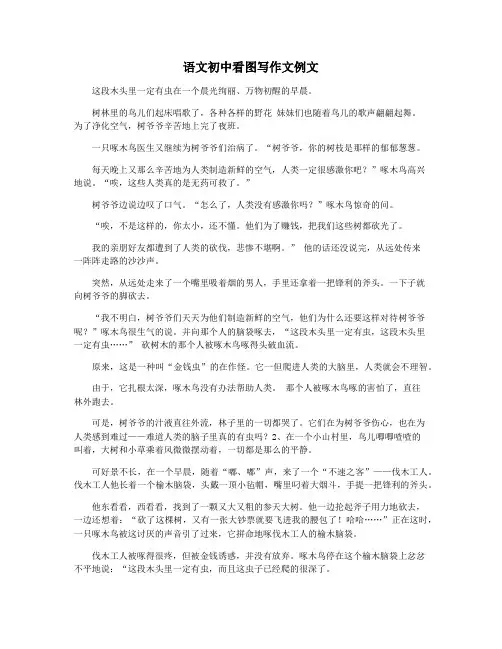 语文初中看图写作文例文