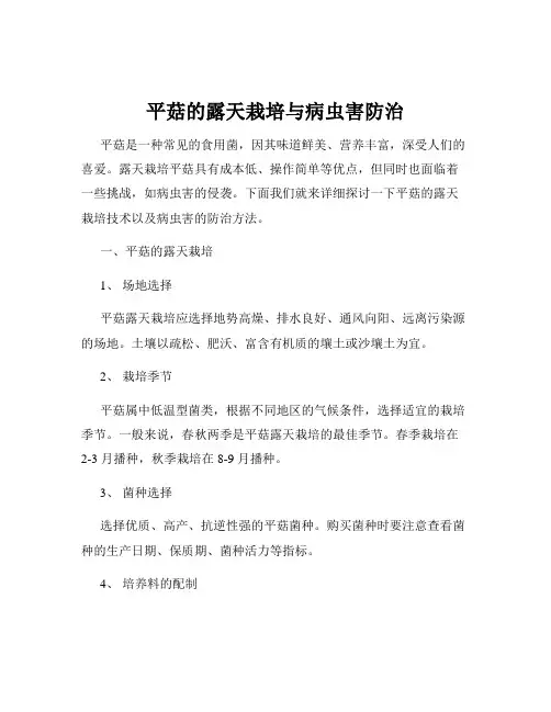 平菇的露天栽培与病虫害防治