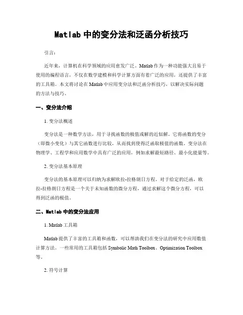 Matlab中的变分法和泛函分析技巧