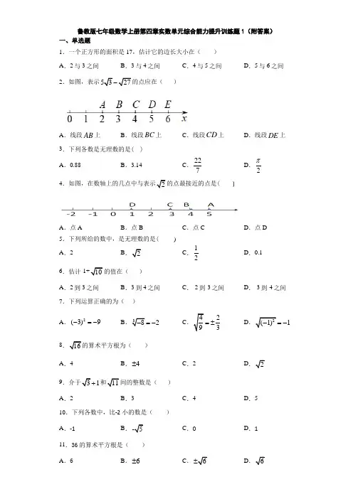 鲁教版七年级数学上册第四章实数单元综合能力提升训练题1(附答案)