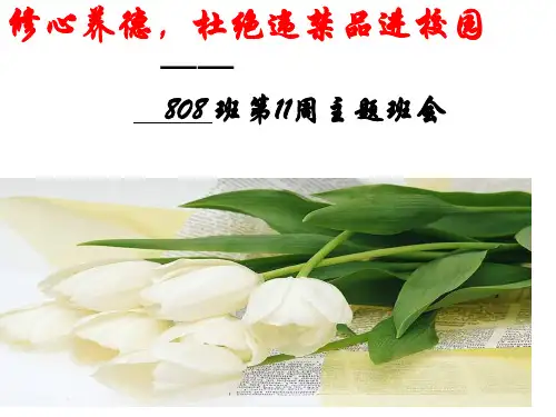 杜绝违禁品班会省名师优质课赛课获奖课件市赛课一等奖课件