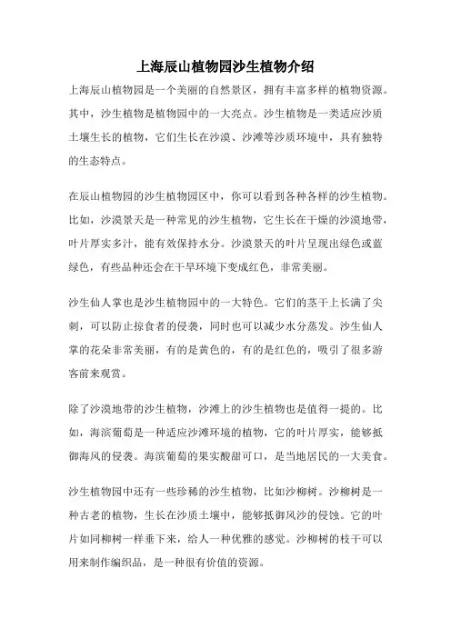 上海辰山植物园沙生植物介绍