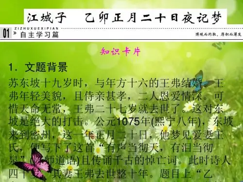 专题九 江城子 乙卯正月二十日夜记梦课件 苏教版选修《唐诗宋词选读》