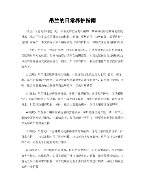 吊兰的日常养护指南