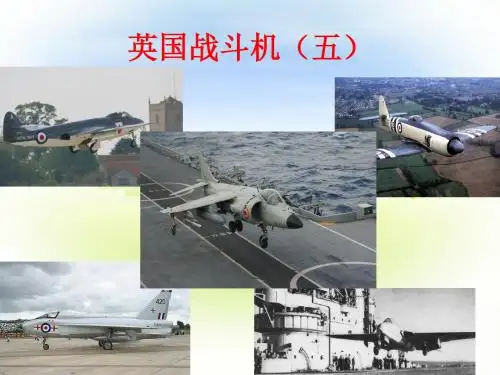 英国战斗机(五)