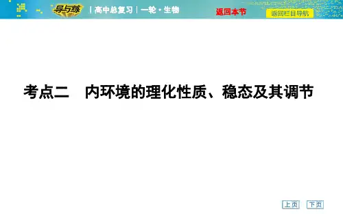 考点内环境的理化性质、稳态及其调节