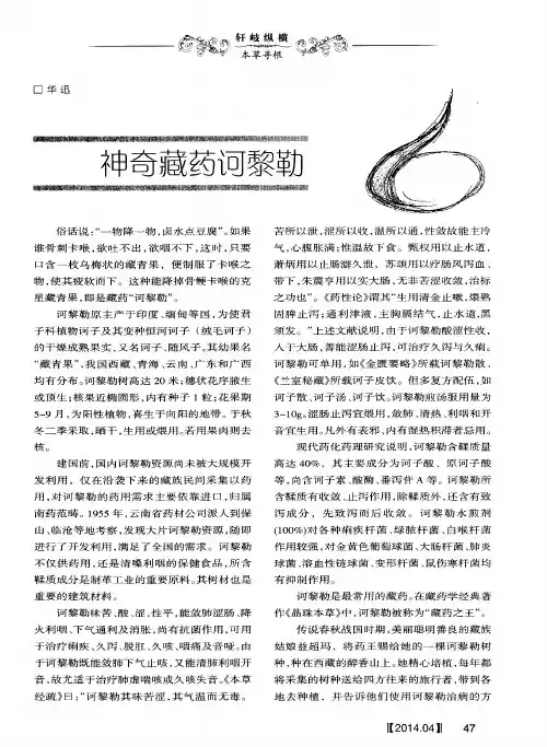 神奇藏药诃黎勒