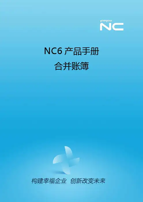 NC6产品手册-合并账簿