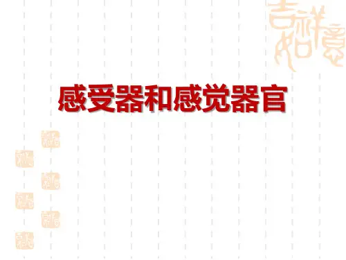 北师大版七年级生物下册 《感受器和感觉器官》课件 