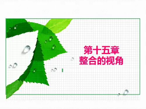 第十五章 整合的视角