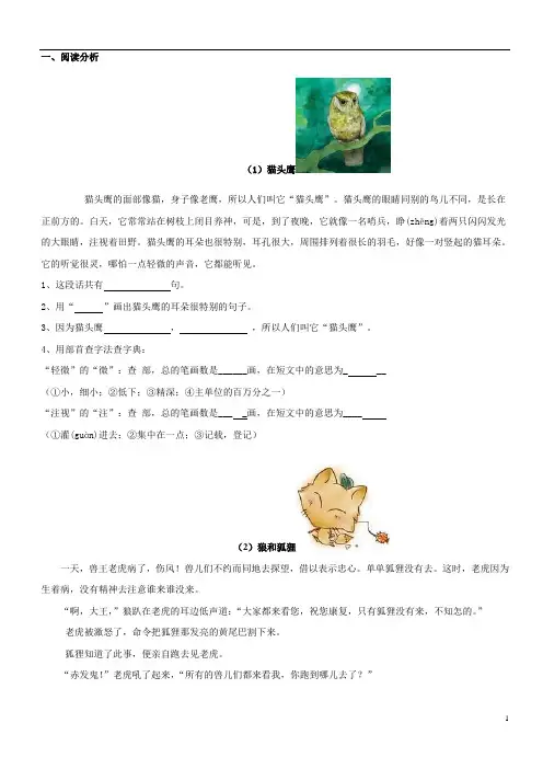 二年级阅读与写作