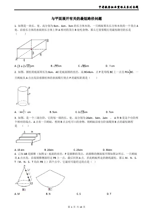 中考数学狙击重难点系列专题25----与平面展开有关的最短路径问题(含答案)