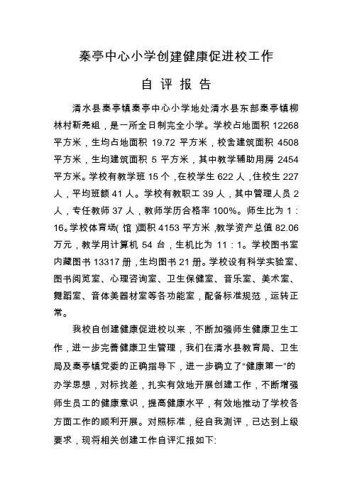自评报告(汇报材料)