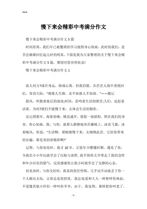 慢下来会精彩中考满分作文
