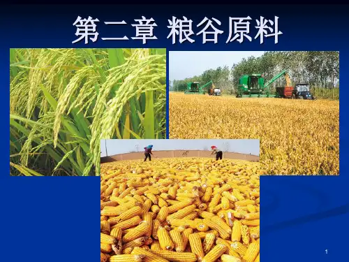 粮谷原料