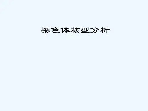 染色体核型分析 PPT