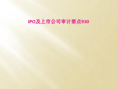IPO及上市公司审计要点930