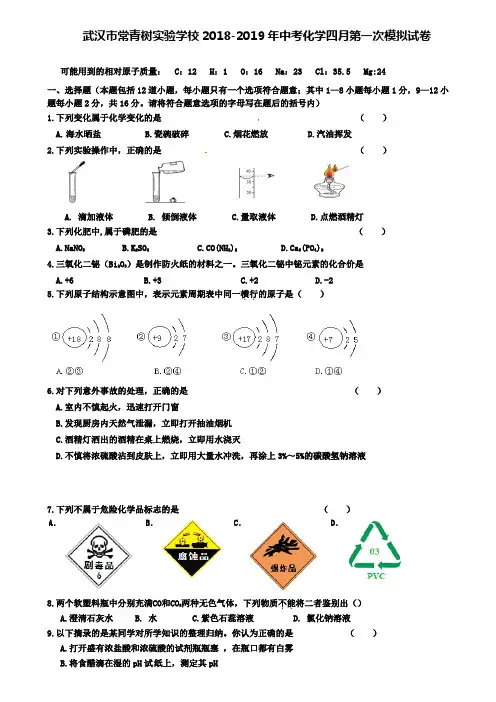 (含12套模拟卷)武汉市常青树实验学校2018-2019年中考化学四月第一次模拟试卷