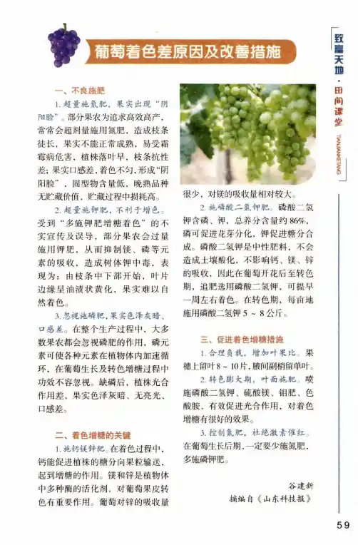 葡萄着色差原因及改善措施