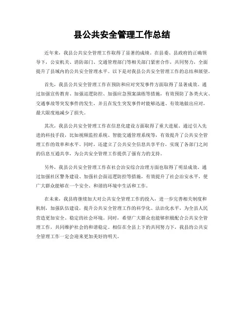 县公共安全管理工作总结