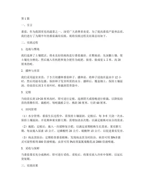 番茄栽培实践报告总结(2篇)