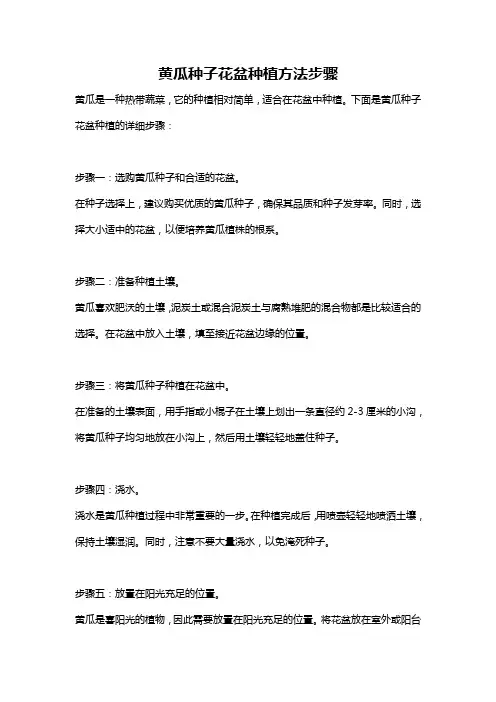 黄瓜种子花盆种植方法步骤