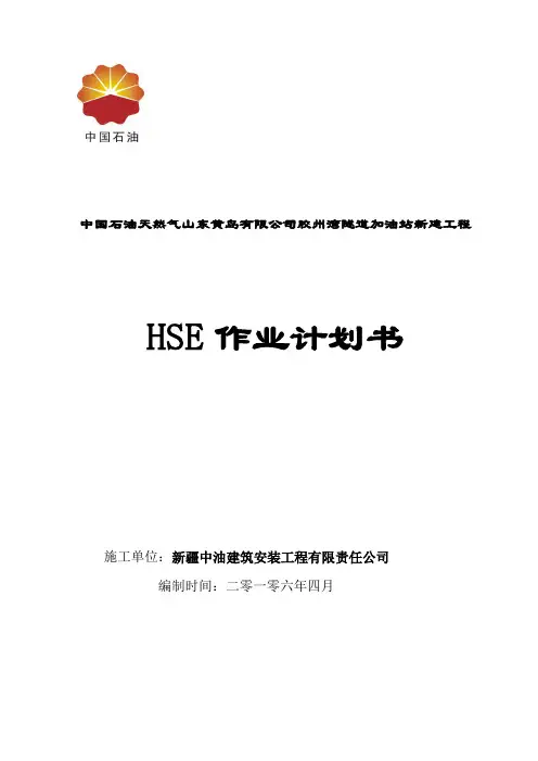 加油站HSE作业指导书(修改版)
